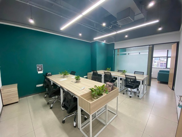 闵行区绿色纸浆模塑