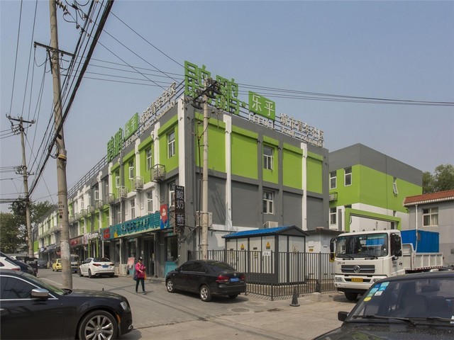 上海德国臻旺小猪酒生产厂家